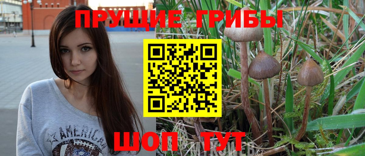Галлюциногенные грибы Cubensis  Вход с VPN  Новошахтинск 