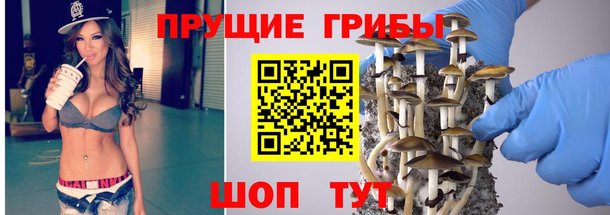 Псилоцибиновые грибы мицелий Новошахтинск